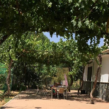 Вилла Casa De Ines Альхама-де-Гранада Экстерьер фото