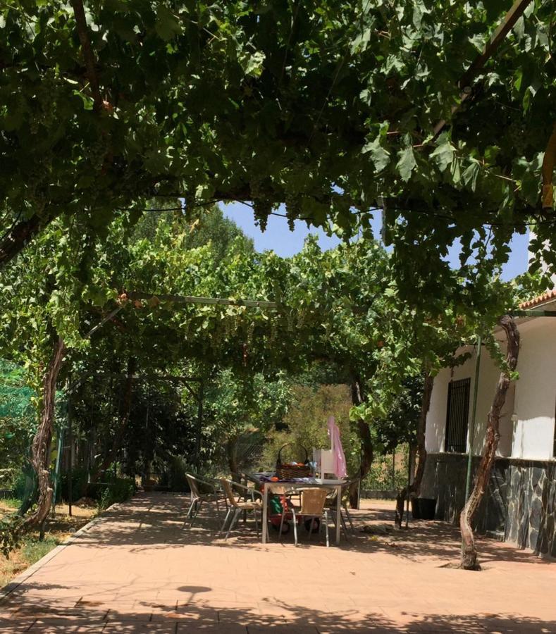 Вилла Casa De Ines Альхама-де-Гранада Экстерьер фото